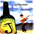 Buy The J Band - Wayward Mp3 Download