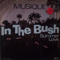 Purchase Musique - In The Bush (VLS)