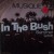 Buy Musique - In The Bush (VLS) Mp3 Download