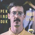Buy Peking Duk - Feels Like (CDS) Mp3 Download