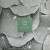 Buy Technasia - Evergreen (EP) Mp3 Download