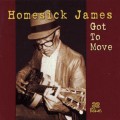 Buy Homesick James - Got To Move Mp3 Download