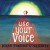 Buy Jonas Friddle & The Majority - Use Your Voice Mp3 Download