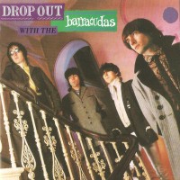 Purchase Barracudas - Drop Out (Reissued 2005)