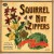 Buy Squirrel Nut Zippers - Perennial Favorites Mp3 Download