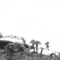 Buy Timber Timbre - Hot Dreams Mp3 Download