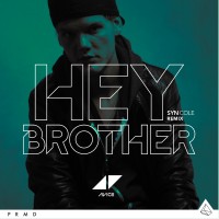 Purchase Avicii - Hey Brother (CDS)