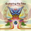 Buy VA - Gathering The Tribe Mp3 Download