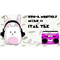 Purchase Ital Tek - Bun-E Monthly Mixes #1 (EP)
