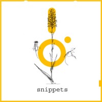 Purchase Ital Tek - Snippets