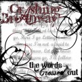 Buy Crashing Broadway - The Words Crossed Mp3 Download