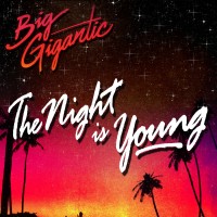 Purchase Big Gigantic - The Night Is Young
