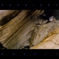 Buy Prurient - Fossil Mp3 Download