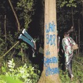 Buy Die Goldenen Zitronen - Who's Bad Mp3 Download