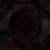 Buy Draaka Rouge - Beneath Thorns & Fog Mp3 Download