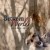 Buy Erik Wollo - Between Worlds (& Deborah Martin) Mp3 Download
