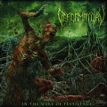 Buy Deformatory - In The Wake Of Pestilence Mp3 Download