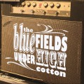 Buy The Bluefields - Under High Cotton Mp3 Download