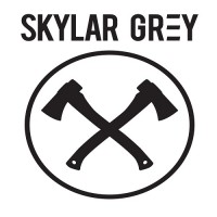 Purchase Skylar Grey - High & Low (CDS)
