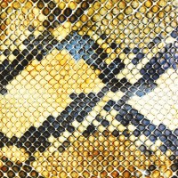 Purchase The Amazing Snakeheads - Amphetamine Ballads