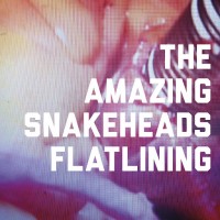 Purchase The Amazing Snakeheads - Flatlining (CDS)