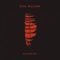 Buy Dan Sultan - Blackbird Mp3 Download