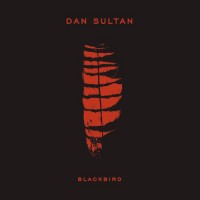 Purchase Dan Sultan - Blackbird
