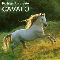 Purchase Rodrigo Amarante - Cavalo