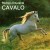 Buy Rodrigo Amarante - Cavalo Mp3 Download