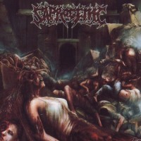 Purchase Saprogenic - The Wet Sound Of Flesh On Concrete