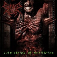 Purchase Gutted Alive - Culmination Of Mutilation