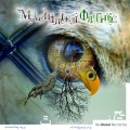 Buy Mechanical Organic - This Global Hive: Part Two Mp3 Download