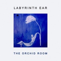 Purchase Labyrinth Ear - The Orchid Room
