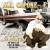 Buy Mr. Capone-E - Don't Get It Twisted Mp3 Download