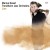 Buy Marius Neset & Trondheim Jazz Orchestra - Lion Mp3 Download