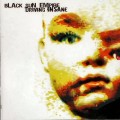 Buy Black Sun Empire - Driving Insane CD2 Mp3 Download