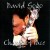 Buy David Gogo - Change Of Pace Mp3 Download