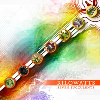 Purchase Kilowatts - Seven Succulents
