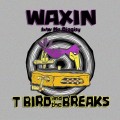 Buy T Bird And The Breaks - Waxin - No Diggity (CDS) Mp3 Download