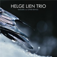 Purchase Helge Lien Trio - Badgers And Other Beings