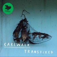 Purchase Cakewalk - Transfixed