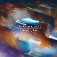 Purchase The Fresh & Onlys - Animal Of One & How High Was I (CDS)