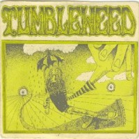 Purchase Tumbleweed - Acid Rain (CDS)