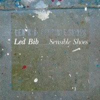 Purchase Led Bib - Sensible Shoes