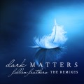 Buy Dark Matters - Fallen Feathers (The Remixes) Mp3 Download