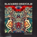 Buy Blackbird Blackbird - Tangerine Sky Mp3 Download