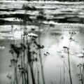 Buy Dakota Suite - This River Only Brings Poison Mp3 Download