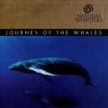Buy David Arkenstone - Journey Of The Whales Mp3 Download