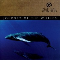 Purchase David Arkenstone - Journey Of The Whales