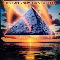 Purchase Love Unlimited Orchestra - Rise (Vinyl)